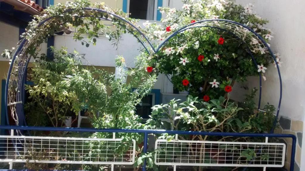 Apollonia Apartments Agia Pelagia  Ngoại thất bức ảnh