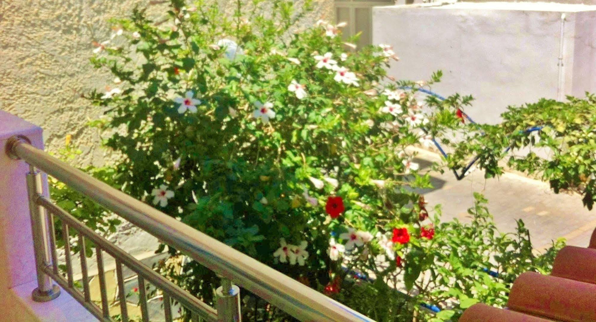 Apollonia Apartments Agia Pelagia  Ngoại thất bức ảnh